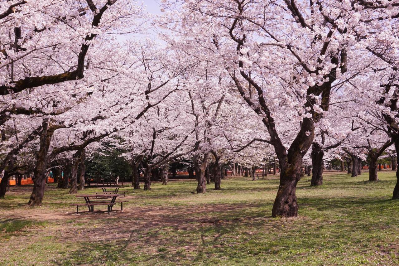 Appartamento 渋谷 広め50M2 2Ldk 代々木公園駅徒歩5分 家族におすすめ Tokyo Esterno foto